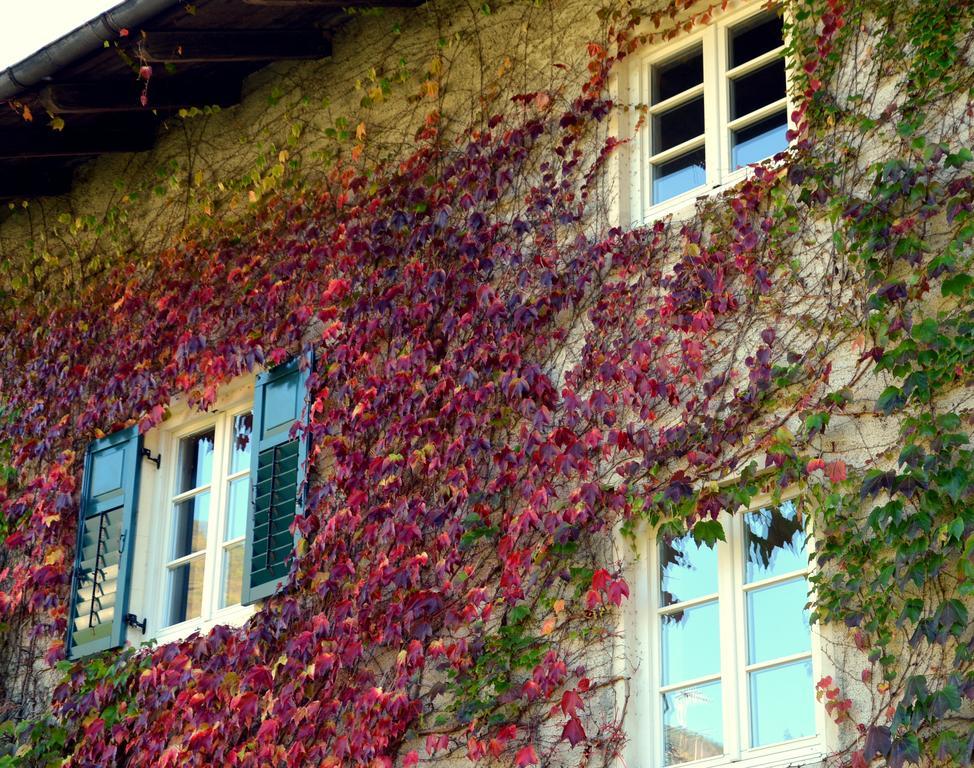 Apartment Im Garten 9 Гаргаццоне Экстерьер фото
