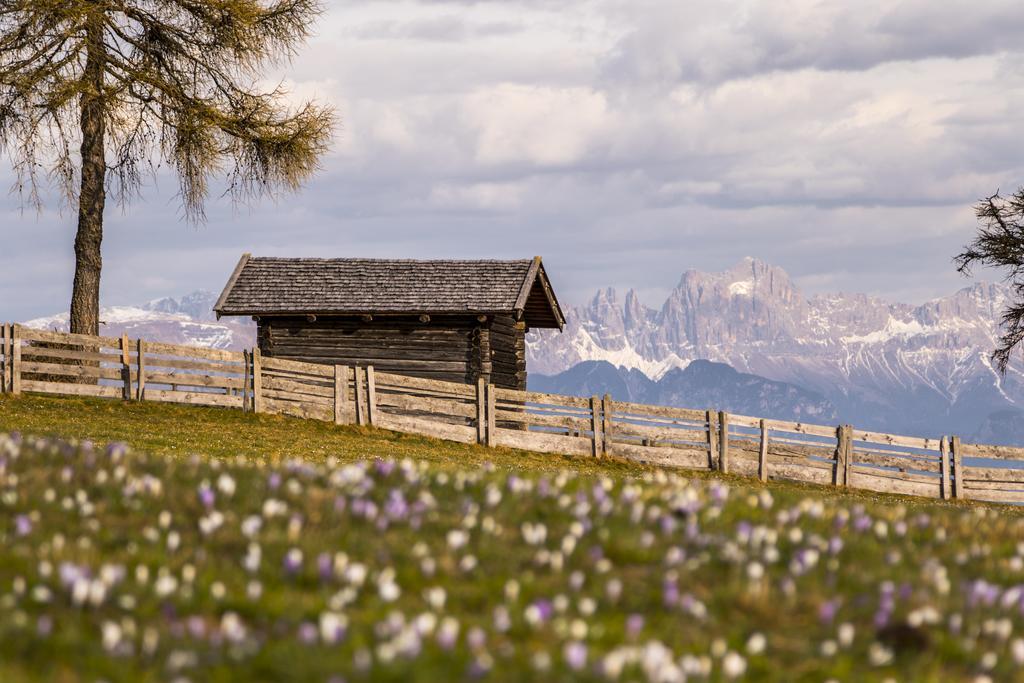 Apartment Im Garten 9 Гаргаццоне Экстерьер фото