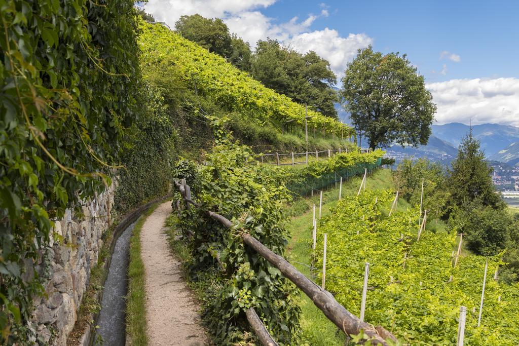 Apartment Im Garten 9 Гаргаццоне Экстерьер фото